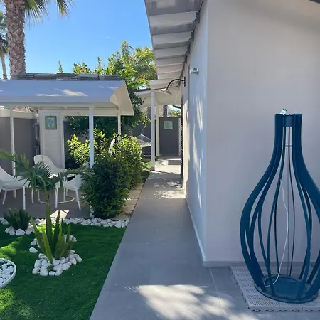 Sabri סן לאונה